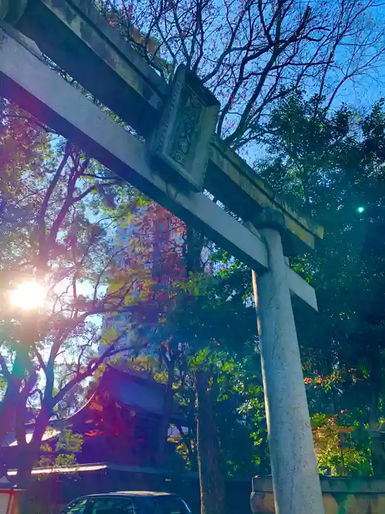 若宮八幡社の鳥居