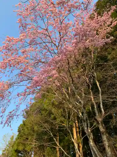 慈雲寺（並び地蔵　化け地蔵）の自然