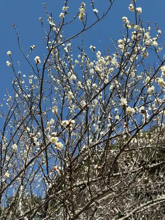 長楽寺(静岡県)