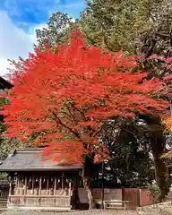 柏原八幡宮の自然