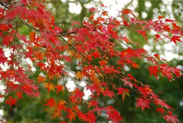 乃木神社(山口県)