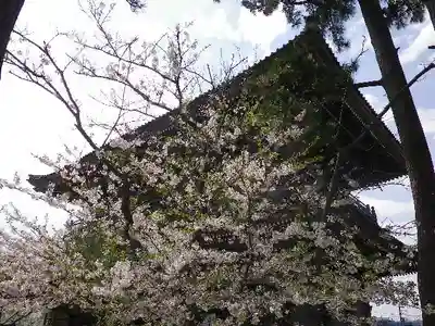 光明寺のその他建物