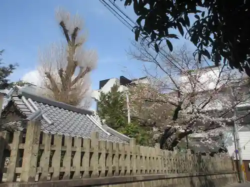 大将軍神社　東三條殿(京都府)