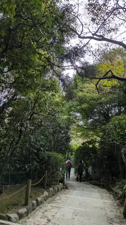 龍安寺(京都府)