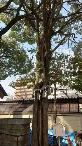 那古野神社の自然
