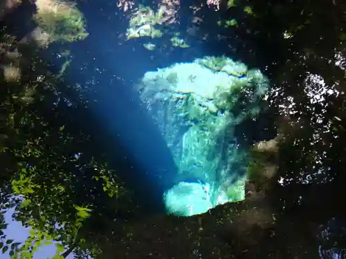 淺間神社（忍野八海）の周辺