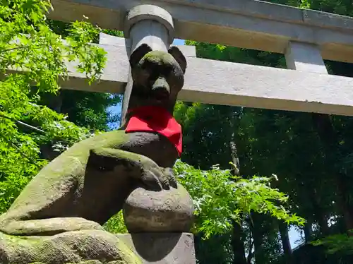 馬橋稲荷神社の狛犬