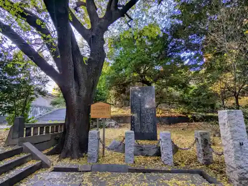 湯島聖堂の自然