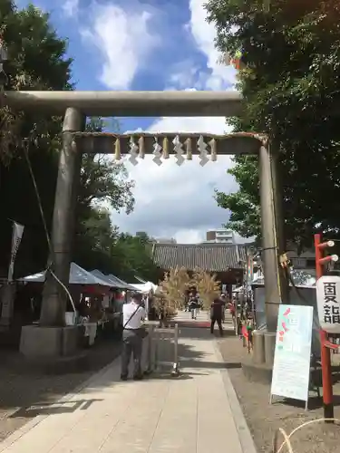 浅草神社の鳥居
