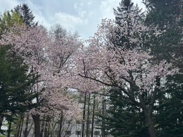 大谷地神社(北海道)