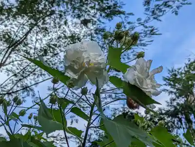大乗寺(京都府)