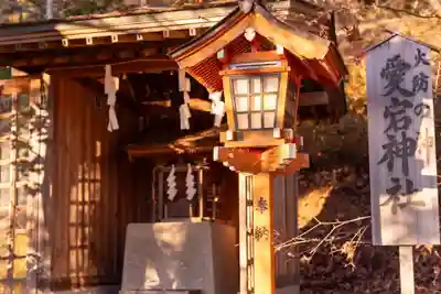 新倉富士浅間神社(山梨県)
