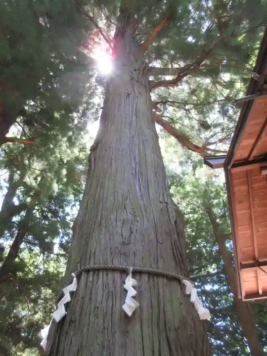 河口浅間神社のその他建物