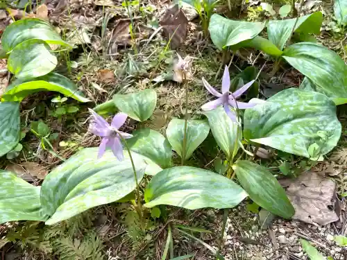 浄得寺(三重県)