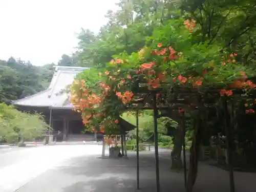 妙本寺の庭園