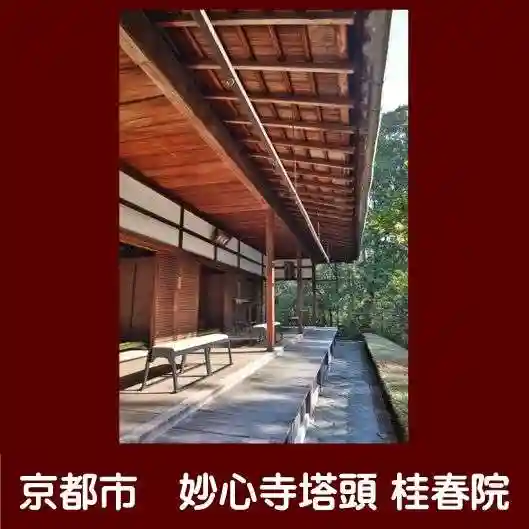 桂春院のその他建物