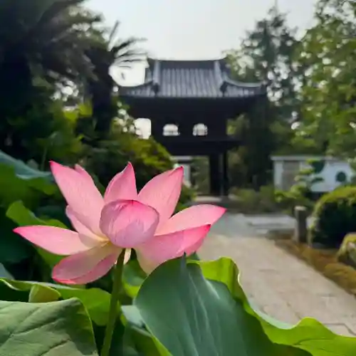 伊勢の国 四天王寺(三重県)