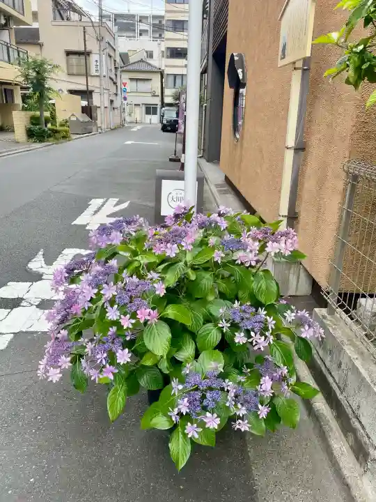飯澄稲荷神社(東京都)