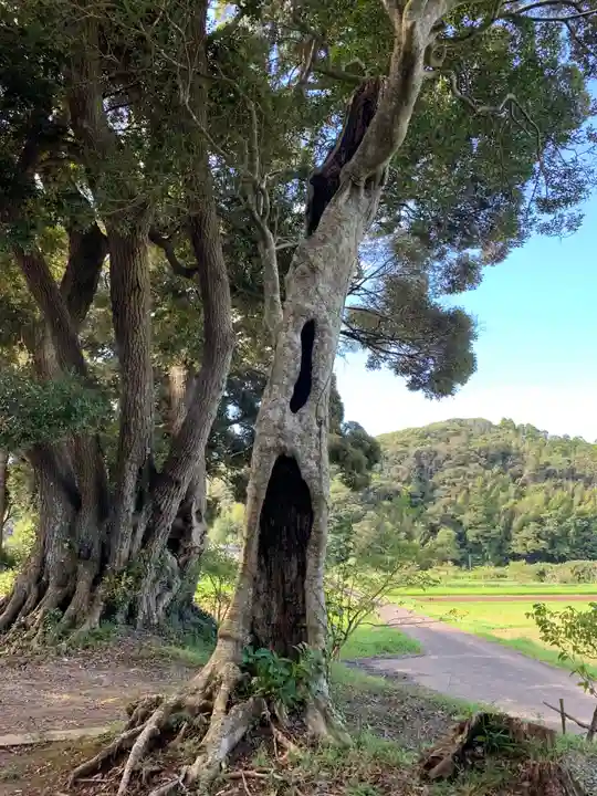 三島神社の自然