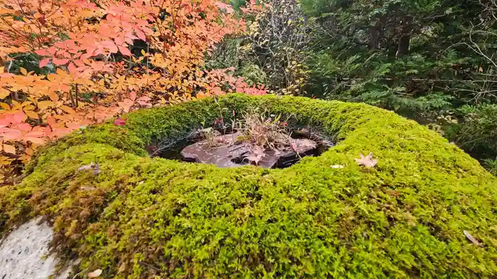 実光院(京都府)
