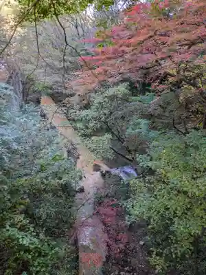伊香保神社の自然