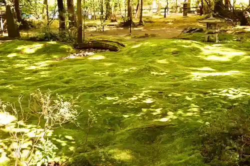 野宮神社(京都府)