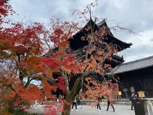 南禅院(京都府)