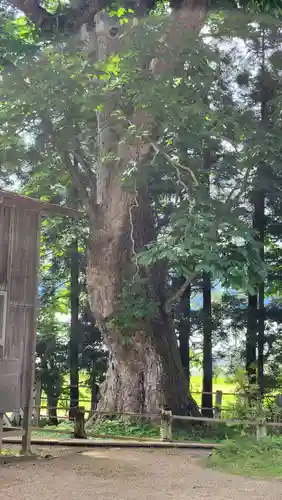 光清寺(山形県)