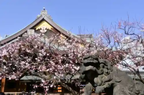 湯島天満宮の狛犬