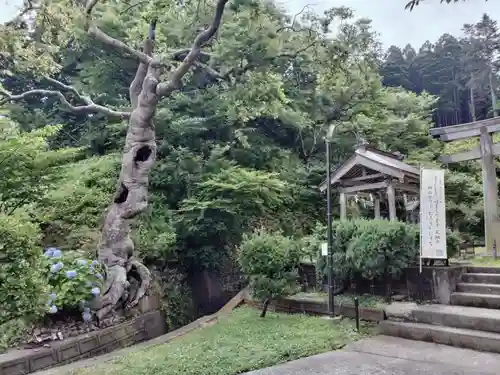 上ノ國八幡宮(北海道)