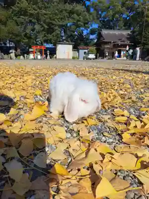 大御和神社(徳島県)