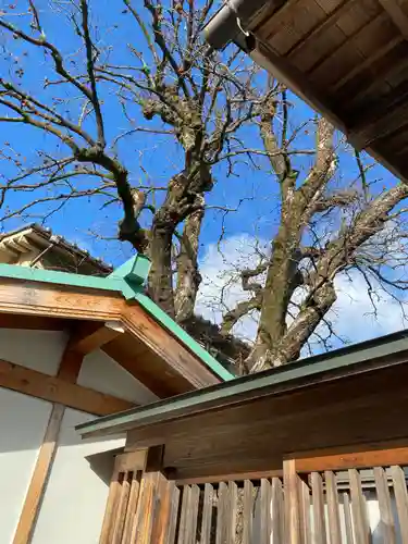 慈眼寺(奈良県)