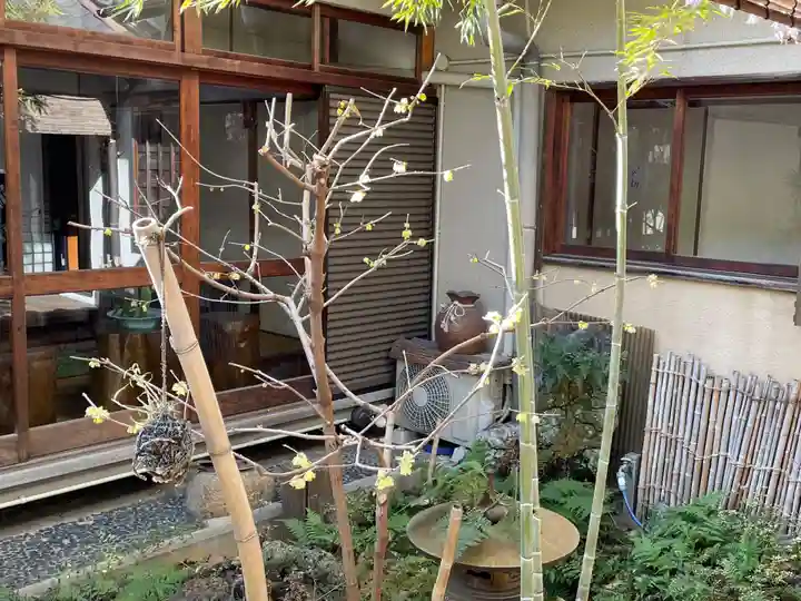 遠照山 光明寺(尼崎大仏)(兵庫県)