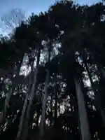 大宮温泉神社(栃木県)