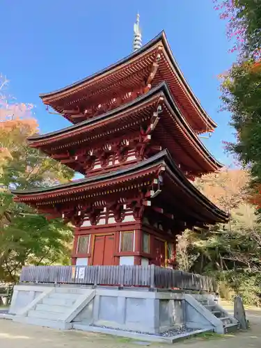 岡寺（龍蓋寺）(奈良県)