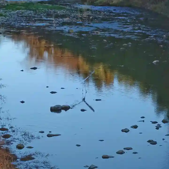 班渓寺の{uncategorized: "未分類", other: "その他", undefined: "問題あり", building: "その他建物", grave: "お墓", sacred_gate: "鳥居", guardian: "狛犬", statue: "像", buddha: "仏像", history: "歴史", nature: "自然", garden: "庭園", animal: "動物", pagoda: "塔", temizu: "手水舎", mountain_gate: "山門・神門", sanctuary: "本殿・本堂", subordinate: "末社・摂社", art: "芸術", scenery: "景色", jizo: "地蔵", ema: "絵馬", goshuin: "御朱印", omikuji: "おみくじ", items: "授与品その他", amulet: "お守り", goshuincho: "御朱印帳", eats: "食事", festival: "お祭り", votive_dance: "神楽", shichigosan: "七五三参", wedding: "結婚式", experience: "体験その他", initially: "初詣", around: "周辺", anti_infection: "感染症対策"}