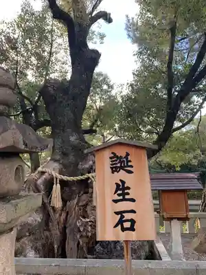 住吉大社(大阪府)