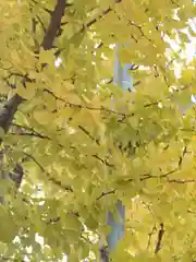 阿邪訶根神社(福島県)