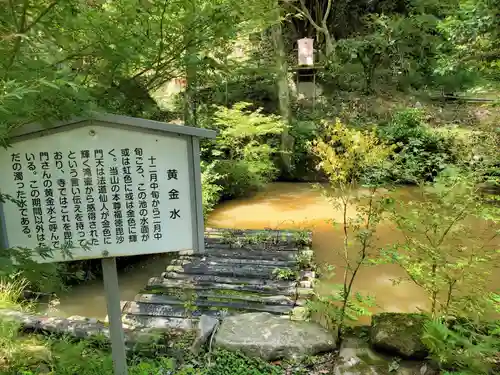 伽耶院の庭園