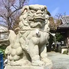 駒形天満宮の狛犬
