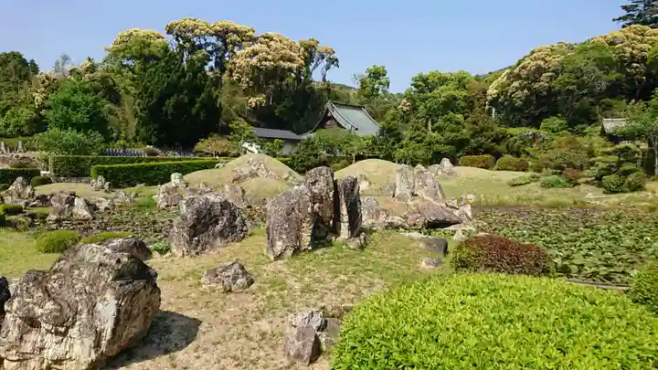 摩訶耶寺の自然