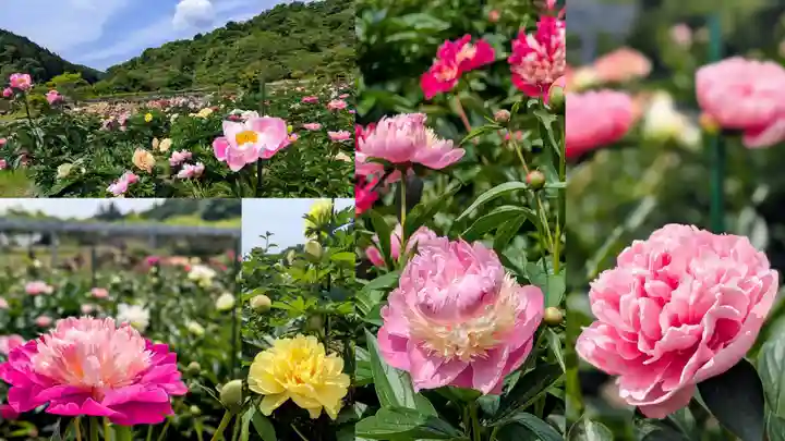 金蛇水神社(宮城県)