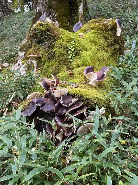 劔山本宮宝蔵石神社(徳島県)