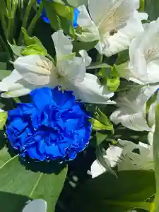 上尾御嶽神社の手水舎(2024年06月15日(土) 14時42分08秒投稿)