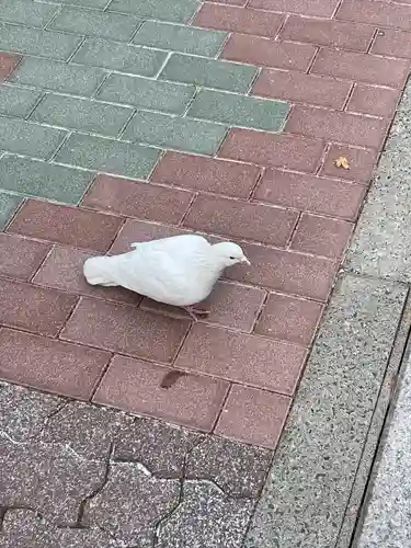 高尾稲荷神社(東京都)