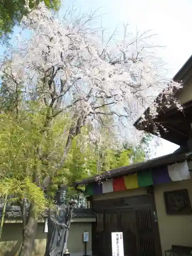 真光寺(千葉県)