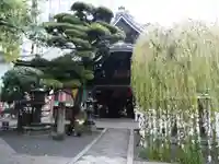 頂法寺(六角堂)(京都府)