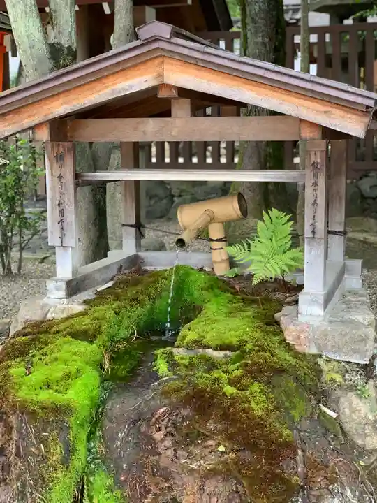 八坂神社(祇園さん)の手水舎
