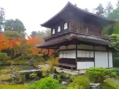 慈照寺（慈照禅寺・銀閣寺）の建物その他