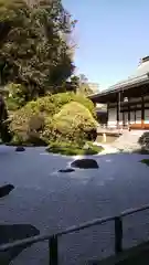 報国寺の庭園